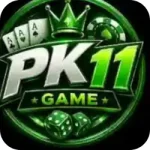 PK11 Game